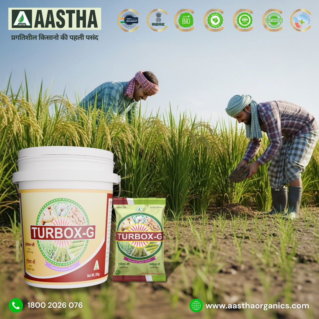 Turbox-G Organic Manure: A Powerful Solution for Better Crop Growth 